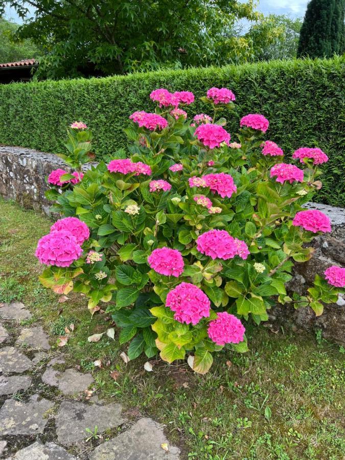 Casa En Treceno 5 Dormitorios Y 2 Plantas Екстериор снимка