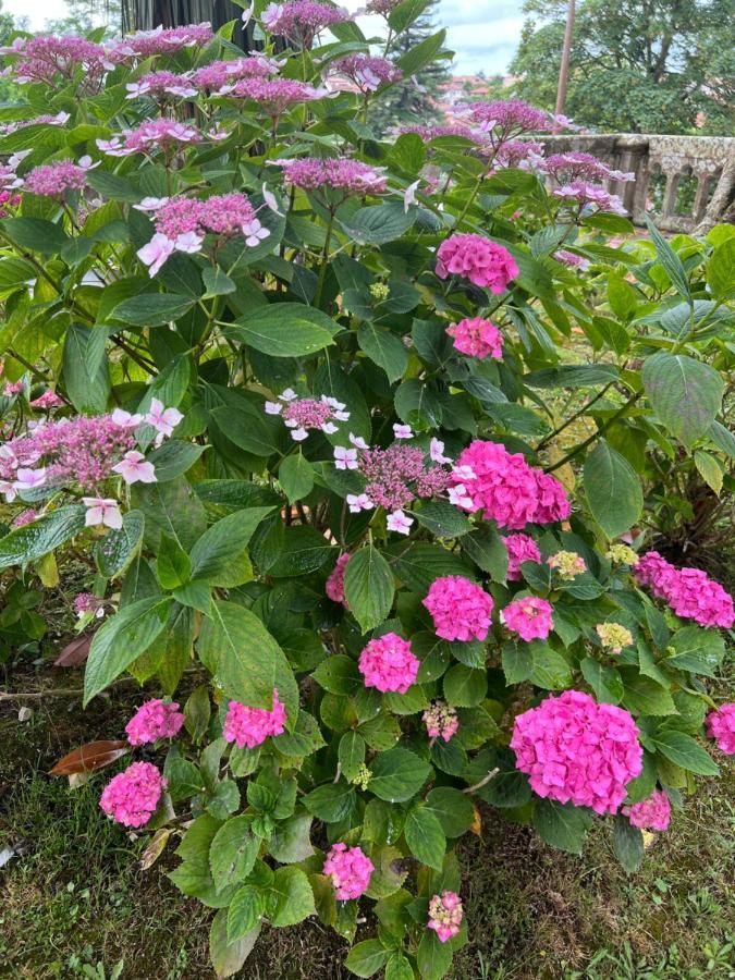 Casa En Treceno 5 Dormitorios Y 2 Plantas Екстериор снимка